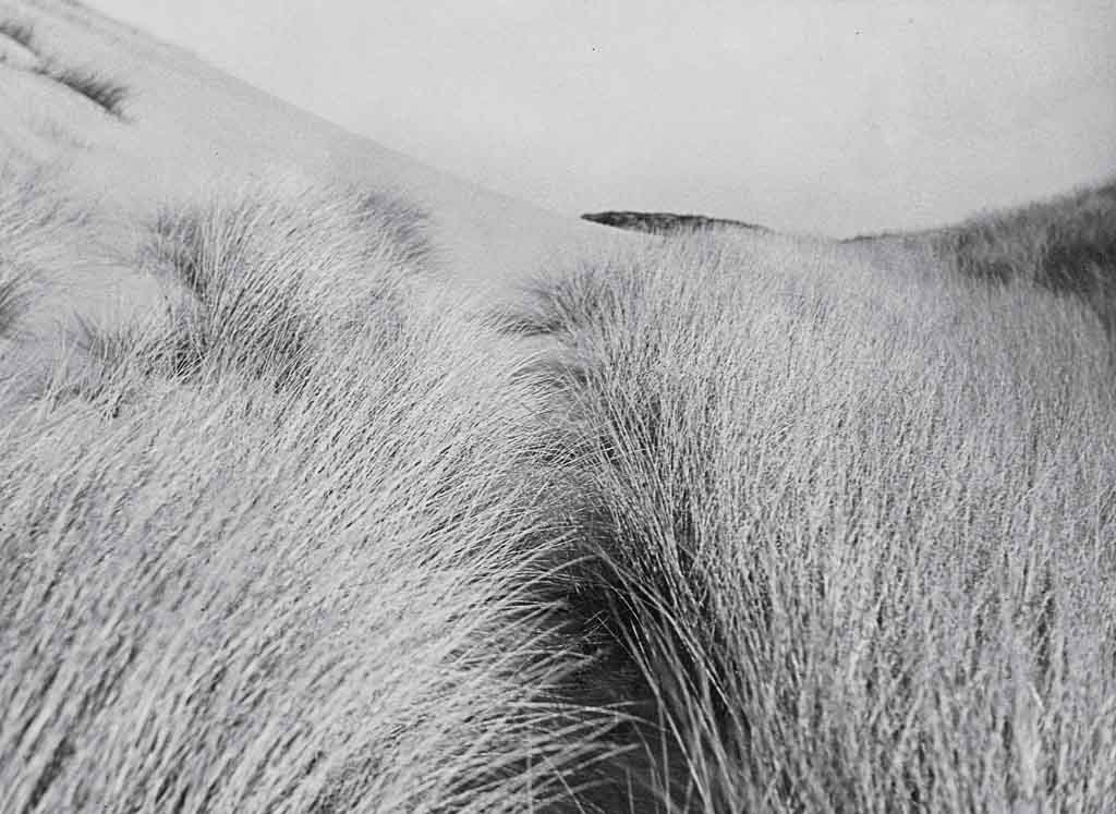Raoul Hausmann