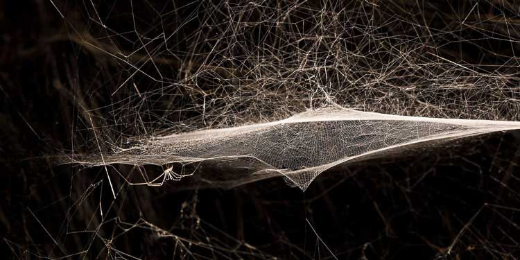 Tomàs Saraceno
