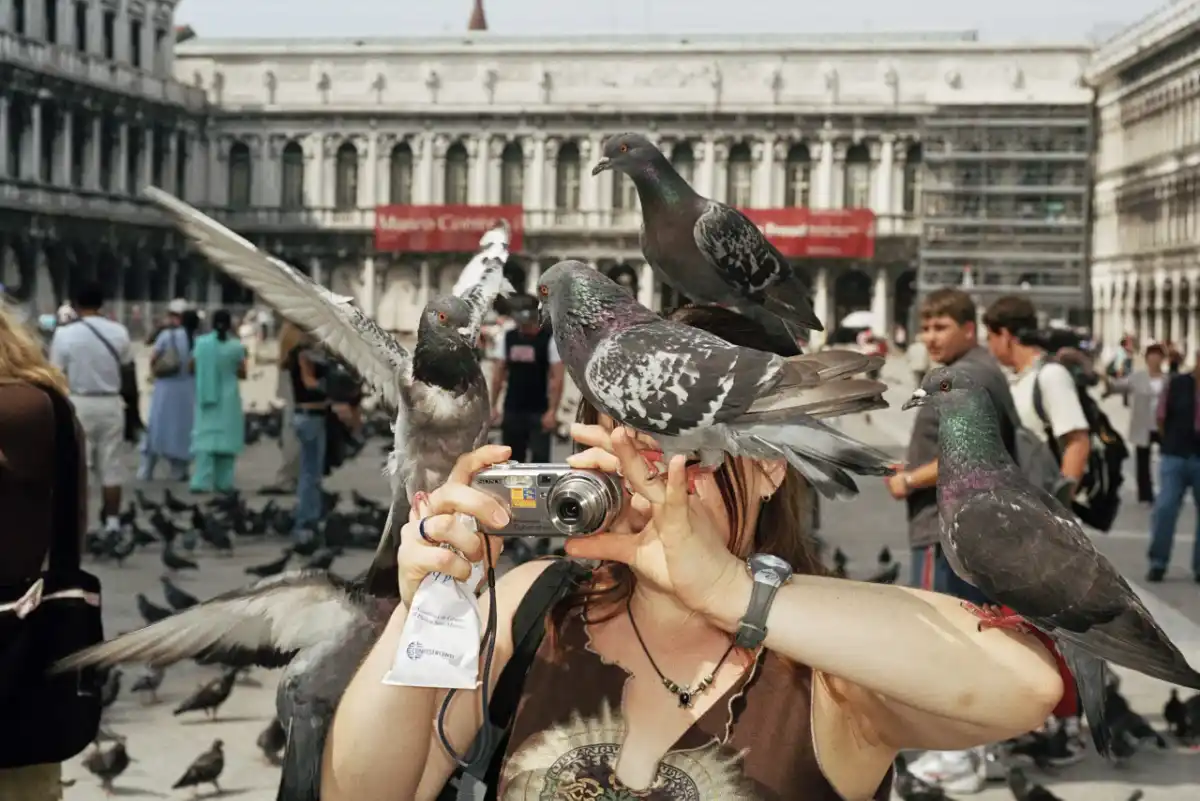 Venice, Italy, 2005 © Martin Parr / Magnum Photos