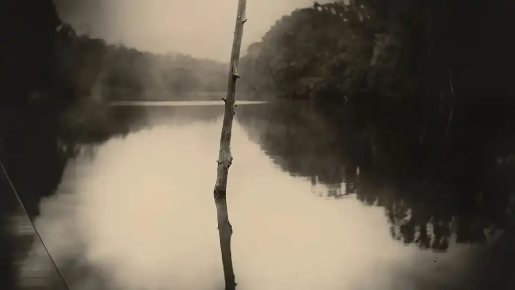 Sally Mann, Pictorialisme et collodion