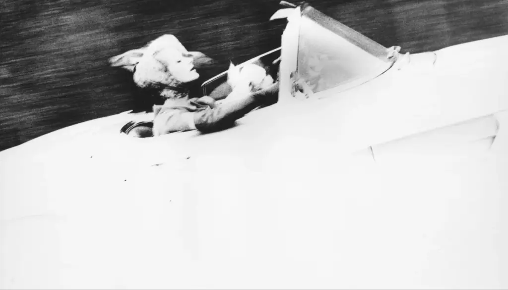 Photographie de Lillian Bassman